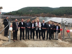 Bu İlçe Elektriğini Güneş Panellerinden Karşılıyor