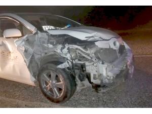 Otomobilin Çarptığı Domuz Telef Oldu