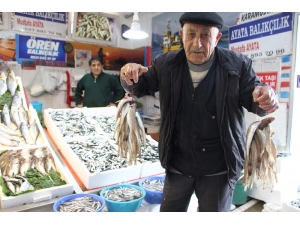 Mezgit Fiyatı Rekora Koşuyor