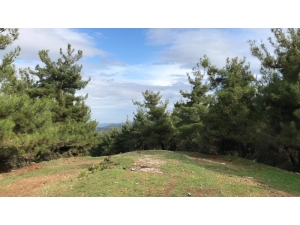 Cinayete Kurban Giden Kayıp Şahsın Cesedi Bulundu