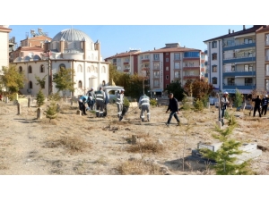Elazığ’da Mezarlıklara 5 Bin Fidan