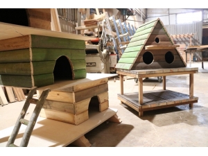 Büyükşehir’den Kedi Ve Kuş Evleri