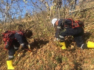 Fındık Timleri 20 Günde 400 Örnek Bahçe Oluşturdu