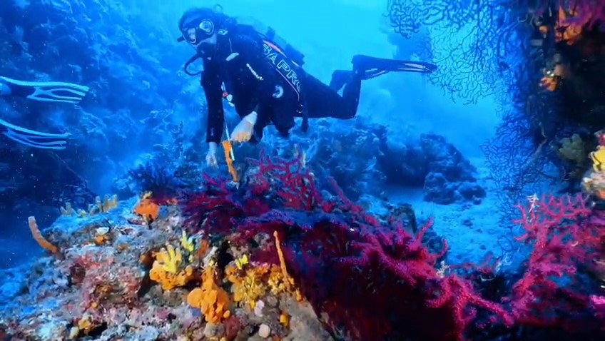 ayvalik-ta-dalis-turizmine-mujde