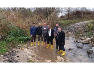 Kahverengi Akan Derede İnceleme Başlatıldı