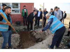 Başkan Kuş Öğretmenlerle Fidan Dikti