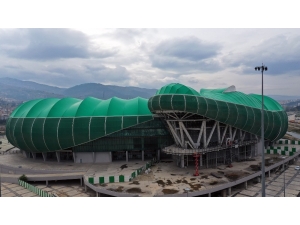 Timsah Kafaya Kavuşuyor