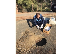 Tüketim Tarihi Geçmiş Ürünler İmha Edildi