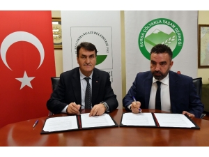 Osmangazi’den Çölyak Hastalarına Destek