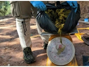 Tayland’ta Geyiğin Midesinden 7 Kilogram Çöp Çıktı