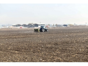 Atatürk Orman Çiftliği Arazisi Tohumla Buluştu