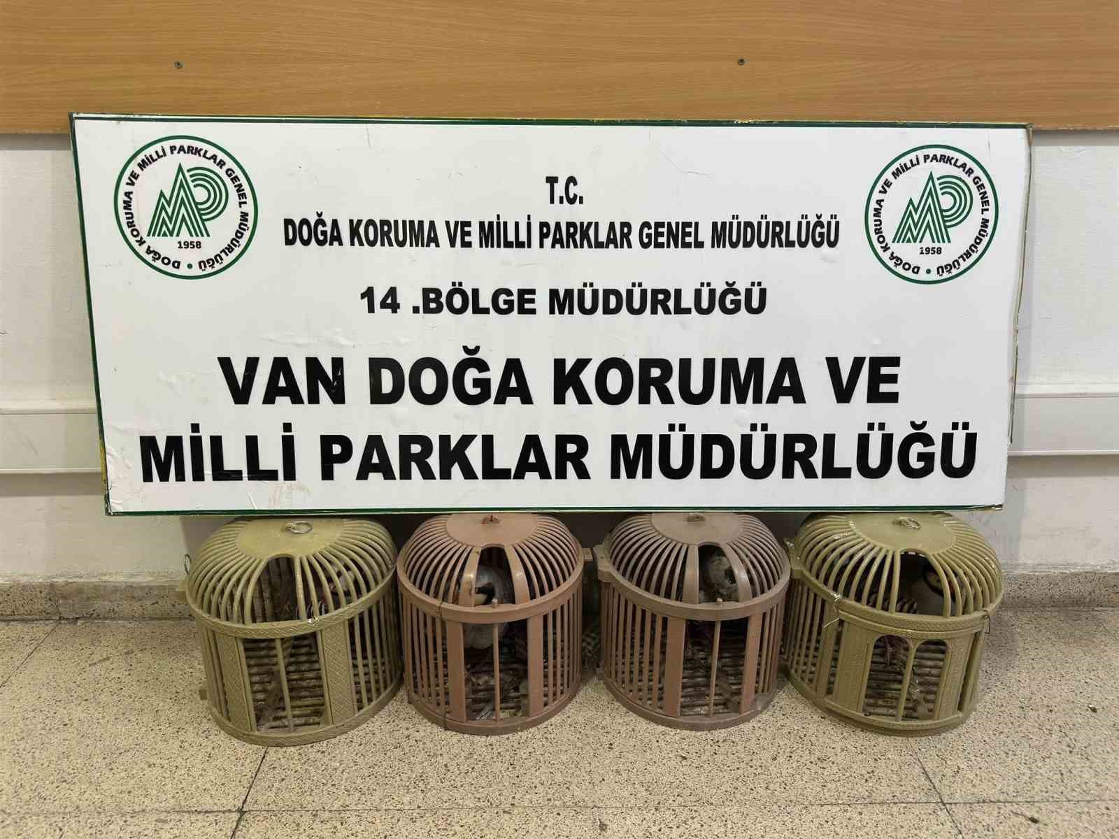van-da-kacak-avciliga-51-bin-878-tl-ceza