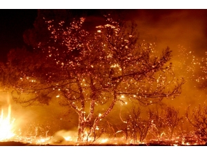 Yerel Yönetimce Düzenlenen İlk Çalıştay Olacak