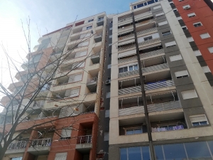 Arnavutluk’ta Arama Kurtarma Çalışmaları Eğitimli Köpeklerle Sürüyor