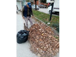 Sapanca’da Genel Temizlik