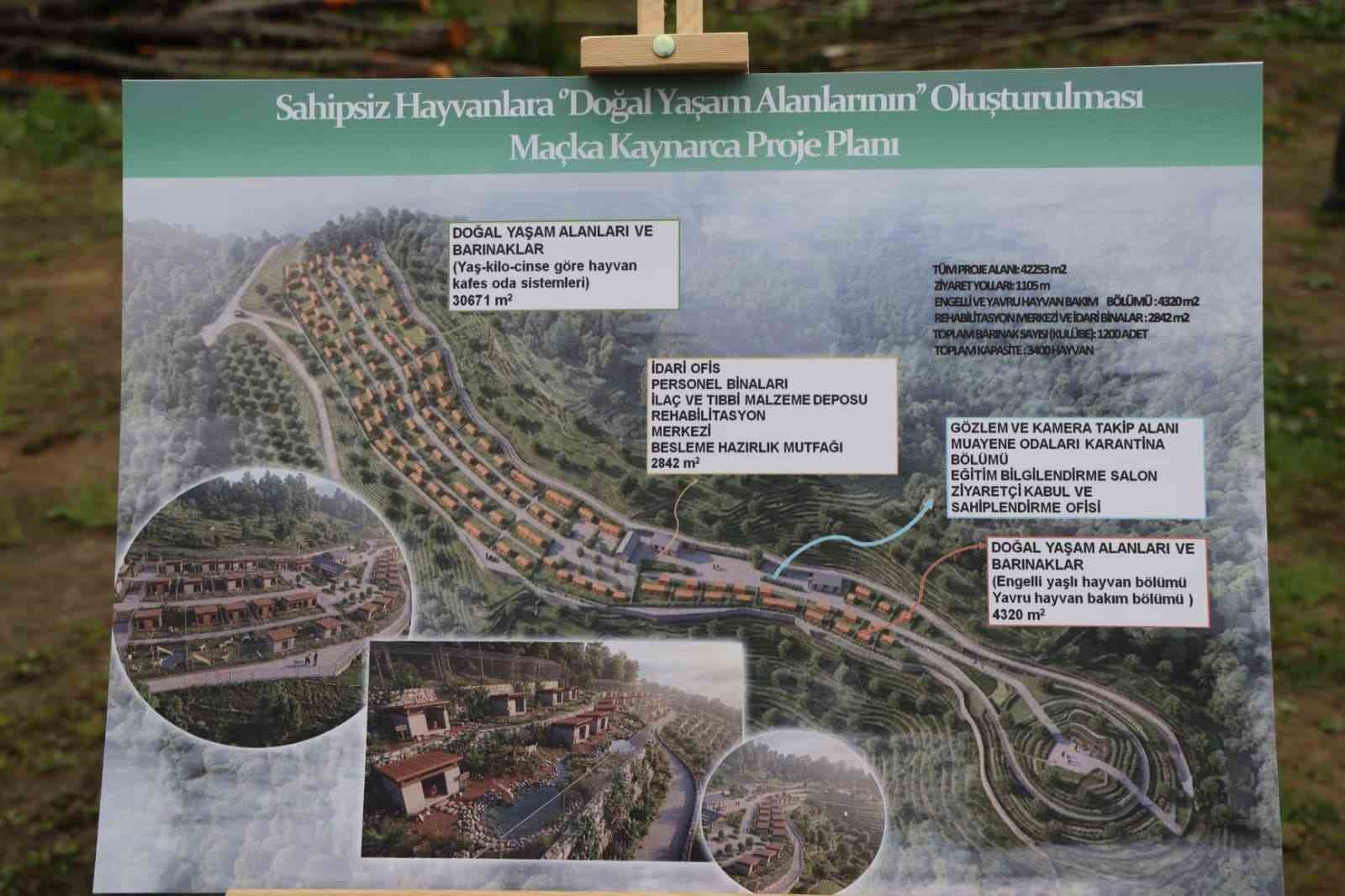 trabzon-da-sokak-kopeklerine-ev-sahipligi-yapacak-yeni-bir-barinak-insa-edilecek