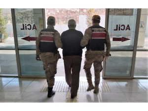 Küçükbaş Hayvan Hırsızlığına 2 Tutuklama