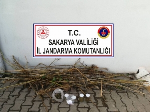 İş Yerinde Uyuşturucu Eken Bekçi Tutuklandı