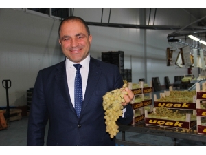 Manisa’dan 32 Ülkeye Sultaniye Üzüm İhracatı