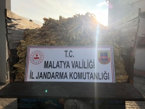 Tütün Hırsızları Yakalandı