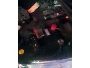 Otomobilde Kedi Kurtarma Operasyonu