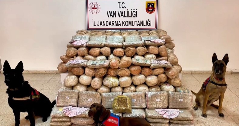 van-da-333-kilo-skunk-ele-gecirildi