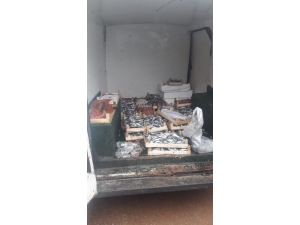 Kaçak Trol Avcılığına Ceza Yağdı