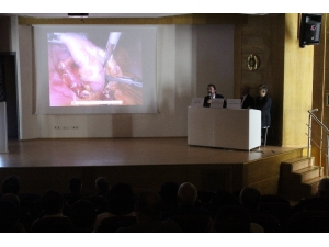 Canlı Ayınla Obezite Ameliyatına Bağlanıp, Yöntemleri Tartıştılar