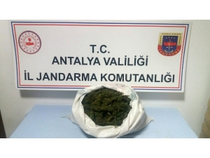 Antalya’da 3 Şüpheli, 3 Kilo Esrarla Yakalandı