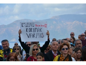 İztuzu Kumsalına Deniz Kaplumbağası Bakım Merkezi Yapılması Planına Tepki