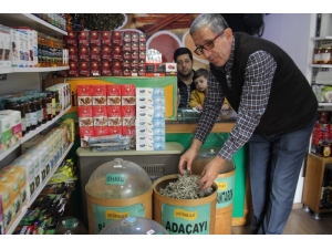 Aktarlar Kış Mevsiminde Daha Yoğun