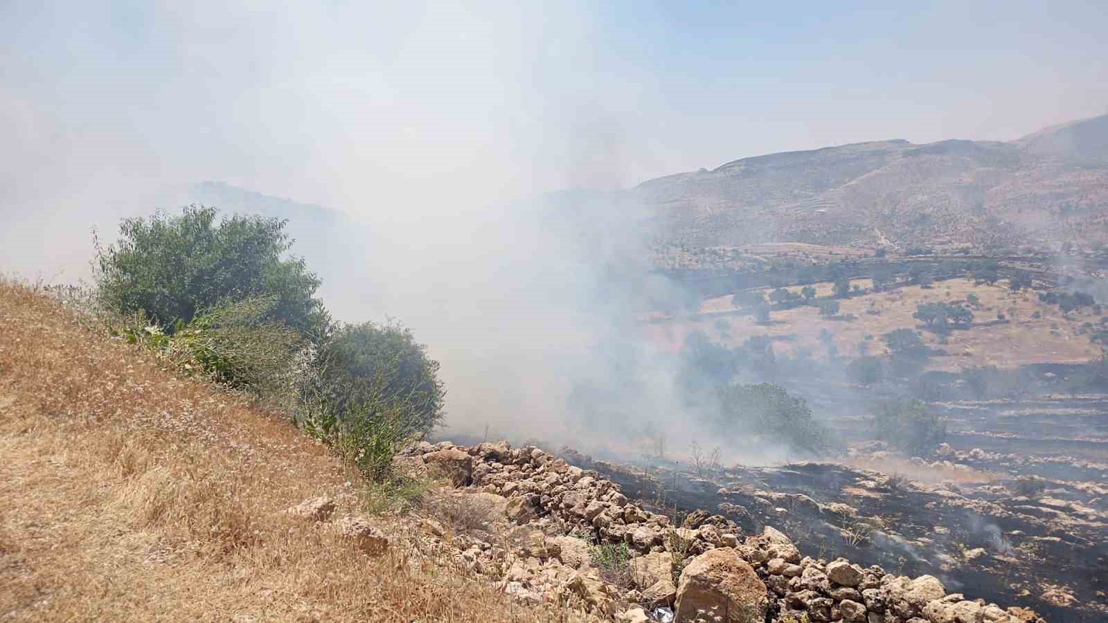 mardin-de-ormanlik-alanda-cikan-yangina-mudahale-ediliyor