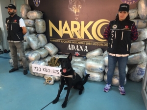 Adana’da 721 Kilo Esrar Ele Geçirildi