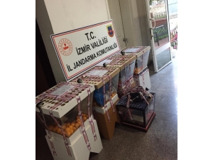 İzmir’de Çay Ocaklarına Kumar Baskını