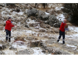 Elazığ’da Yüksek Kesimlere Kar Yağdı, Sağlıkçılar Doğaya Yem Bıraktı