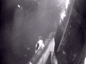 Çaldıkları Koyunu Kesip Paylaştılar