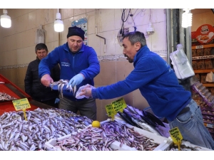 Karadeniz Hamsisi 7 Lira