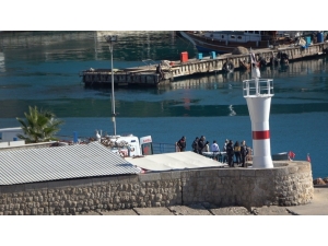 Falezlerden Ölüme Atladığı Anlar Görüntülendi