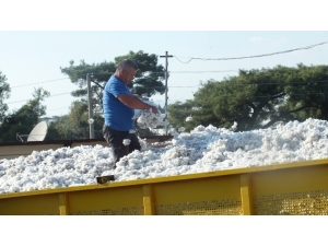 ’Beyaz Altın’da Bereketli Hasat