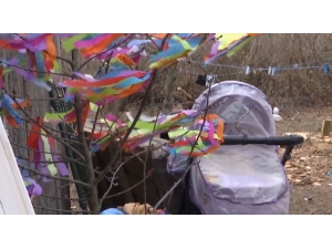 Ukrayna’da Kedi 9 Aylık Bebeği Boğarak Öldürdü