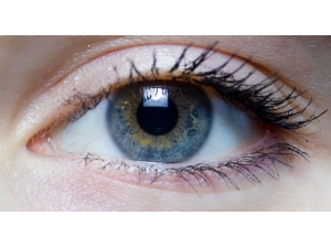 Sarı Nokta Hastalığı, Aferez Yöntemi İle Durdurulabiliyor