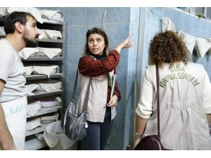 "Ürün Bazlı Gıda Denetim Seferberliği"