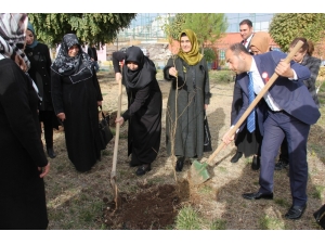 Beyazgül Engelli Öğrencilerle Ağaç Dikti