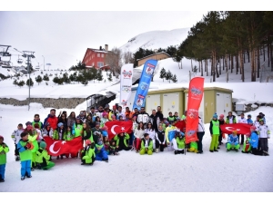 Madalya Müdavimleri