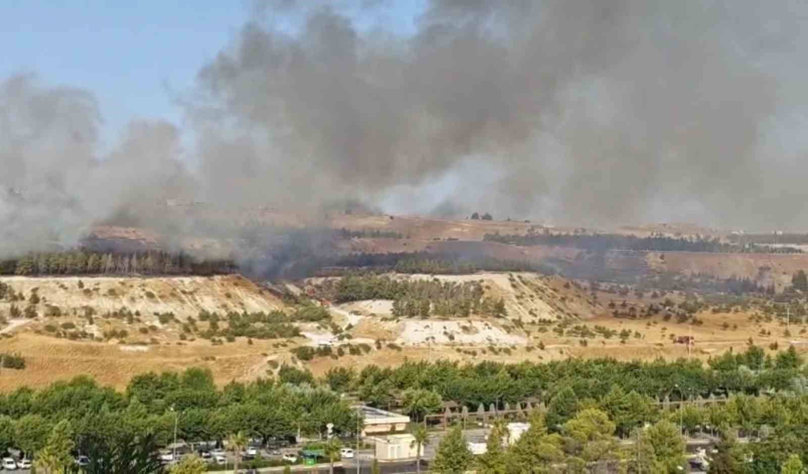 sanliurfa-da-ormanlik-alanda-korkutan-yangin