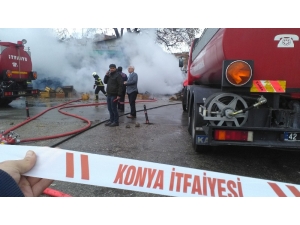 Sebze Halinde Yangın Paniği