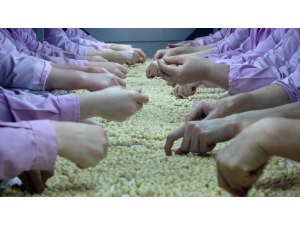 Fındık İhracatçılarının Hedefi: Çin