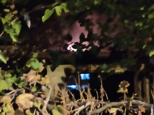 Samandağ’da Kulübede Çıkan Yangın Kontrol Altına Alındı