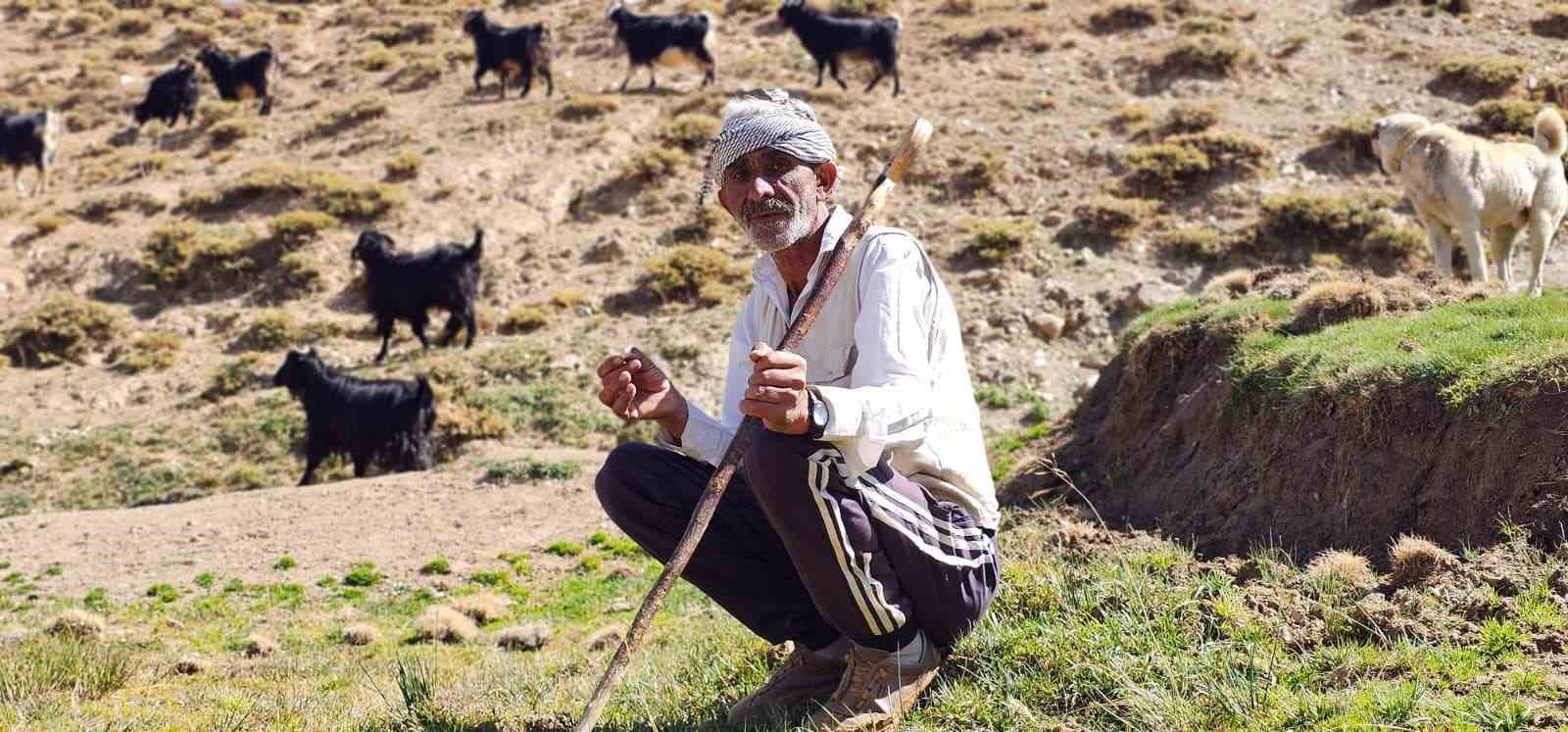 bursa-dan-koyune-dondu-hayvancilikla-gecimini-sagliyor