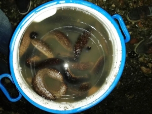 Yasa Dışı Ürünler Avcılığına 5 Bin 863 Olayda 18 Milyon Ceza